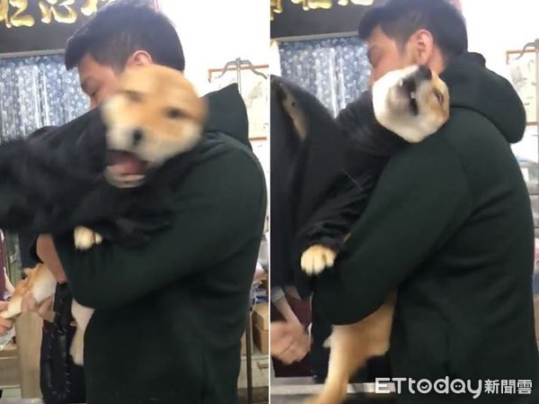 “kaiyun开云网页版”延禧攻略嘉嫔整容前长这样 本名邓君逸曾出演《天下盐商》(图3) kaiyun开云网页版