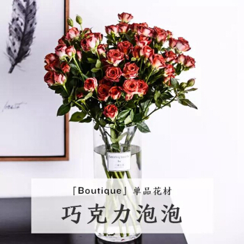 kaiyun开云网页版