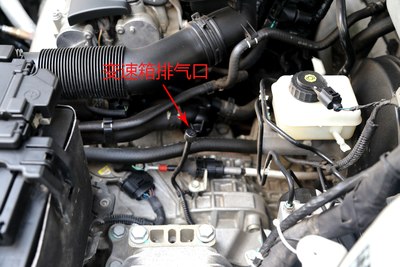 kaiyun开云网页版|暗恋橘生淮南什么时候更新 播出更新时间介绍(图4) kaiyun开云网页版