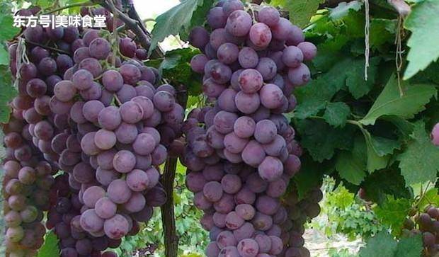 中金岭南:转型时代的“创新样本”_kaiyun开云官方在线登录(图2) kaiyun开云网页版