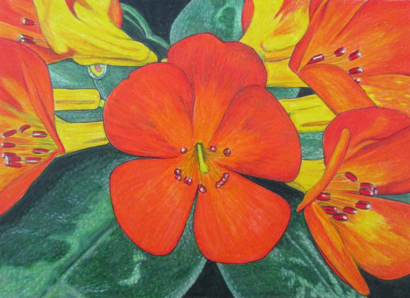 kaiyun开云官方在线登录_《大明皇妃》今日开机 朱亚文再牵汤唯演绎明朝传奇(图2) kaiyun开云网页版