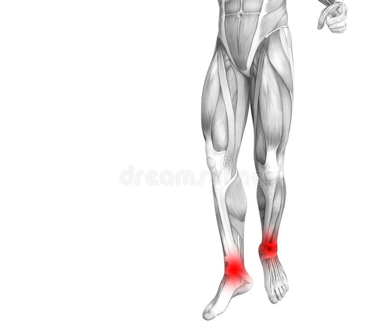 振兴摇滚 布衣乐队全国巡演圆满收官【kaiyun网页登录入口】(图1) kaiyun开云网页版