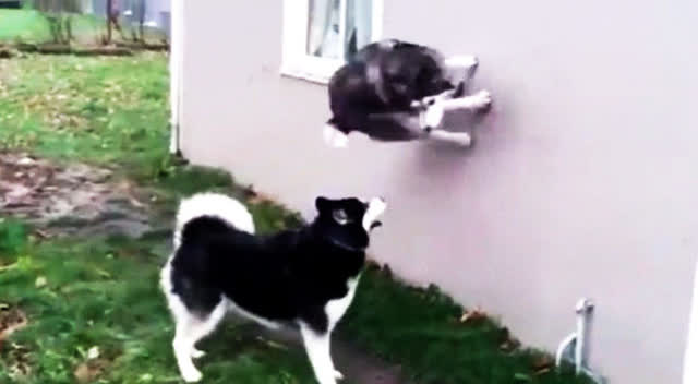 澳华装饰:实景工地解说-汉口新界 金色多瑙河“kaiyun开云网页版”(图1) kaiyun网页登录入口