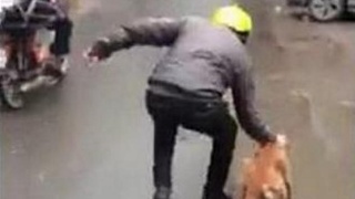 ‘kaiyun开云官方在线登录’秦皇岛港煤炭库存跌破500万吨(图1) kaiyun网页登录入口