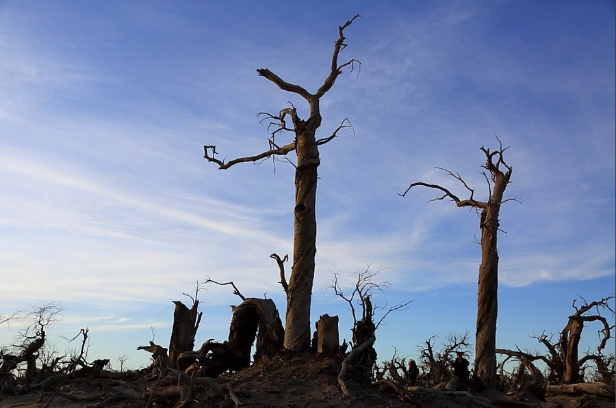kaiyun开云网页版_雷霆战警网剧播出时间是什么时候?谁是幕后真凶红桃六(图2) kaiyun开云网页版