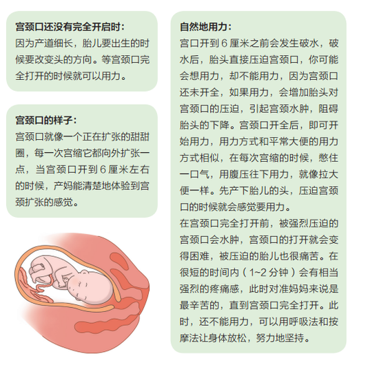 ‘kaiyun网页登录入口’江西省加快推进小水电清理整改工作年前计划拆除10座(图1) kaiyun网页登录入口