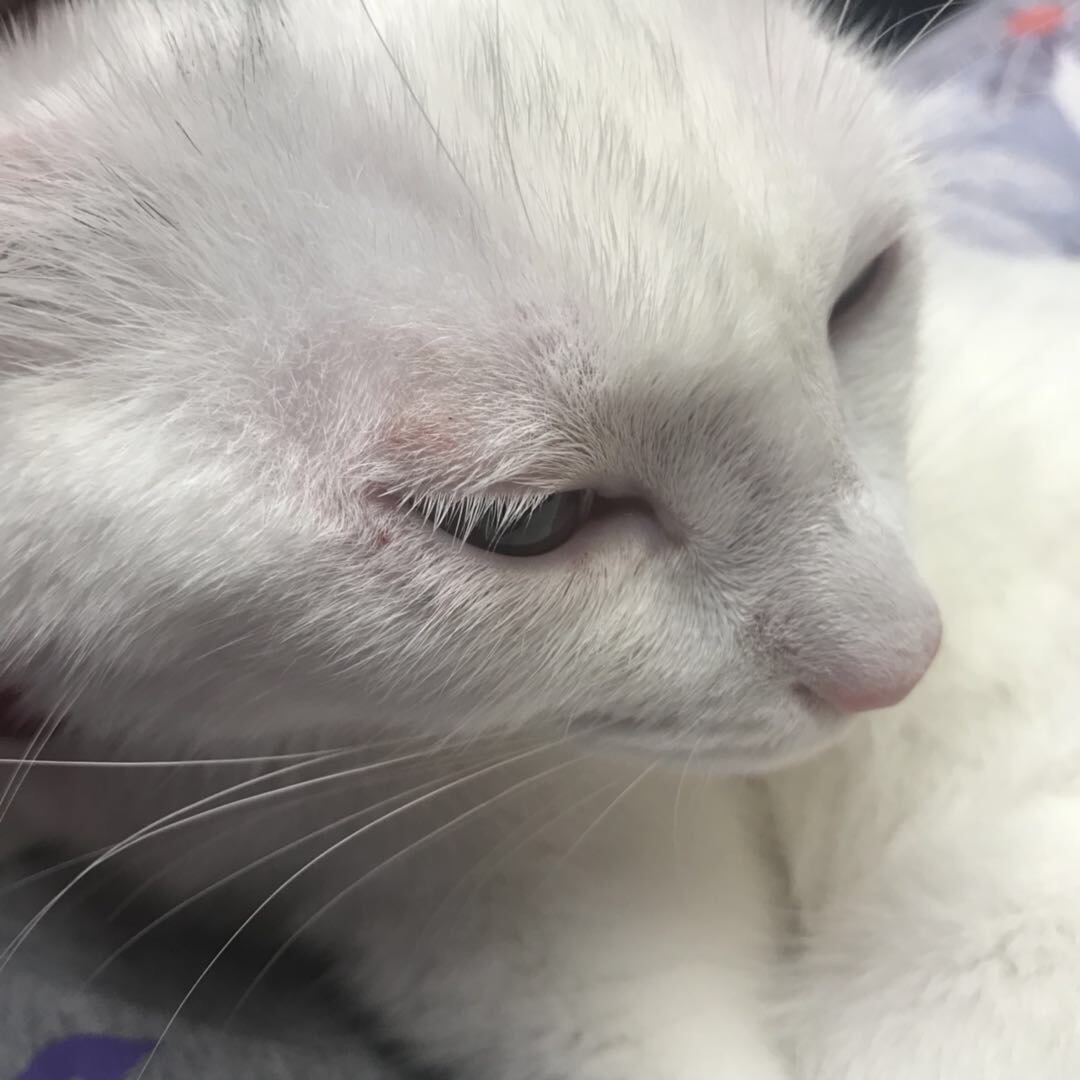 ‘kaiyun开云官方在线登录’《武动乾坤》大结局 杨洋如何应对更加强大的新魔皇林琅天(图3) kaiyun网页登录入口