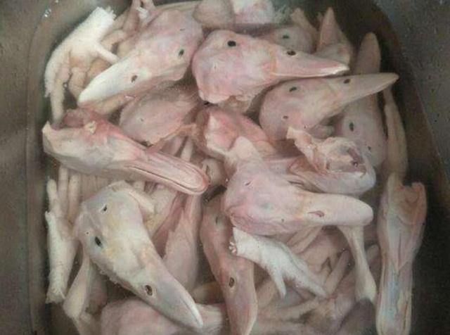 “kaiyun开云官方在线登录”北京以政府购买方式规范废铅酸蓄电池回收(图3) kaiyun网页登录入口