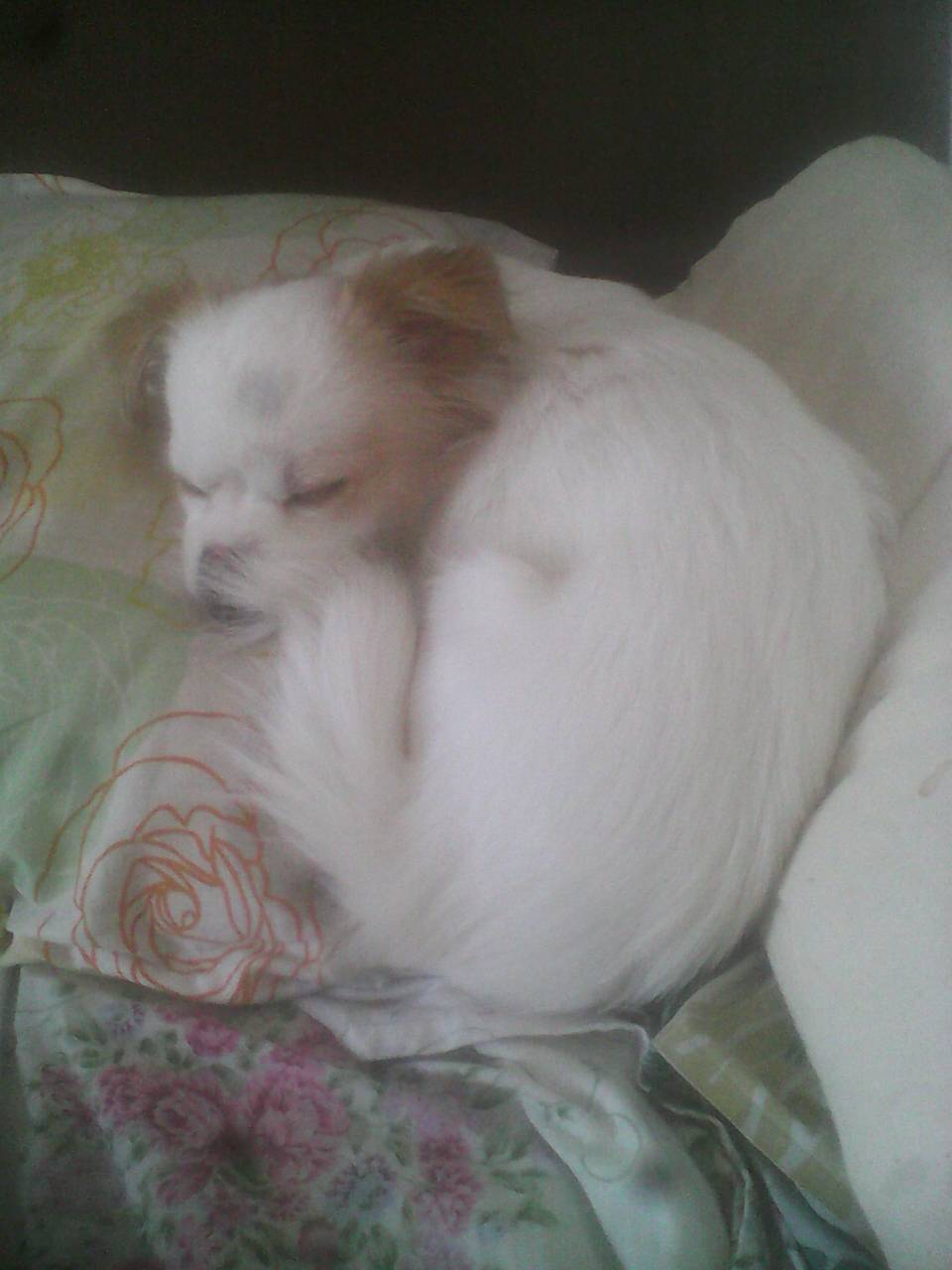 kaiyun网页登录入口