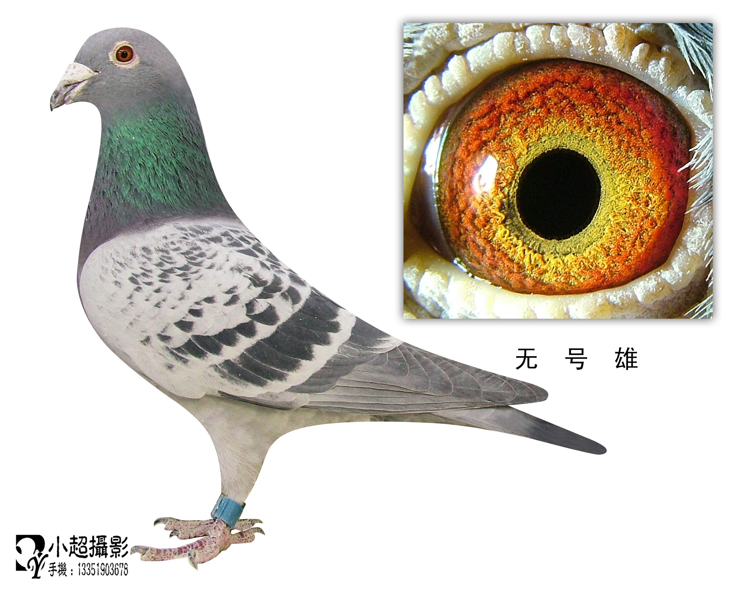 《将夜》黑伞是什么?黑夜撕下的一角为保护桑桑而存在【kaiyun网页登录入口】(图2) kaiyun网页登录入口