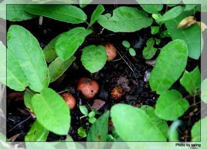 kaiyun网页登录入口